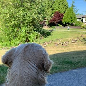 Meet your Posher, Leanne